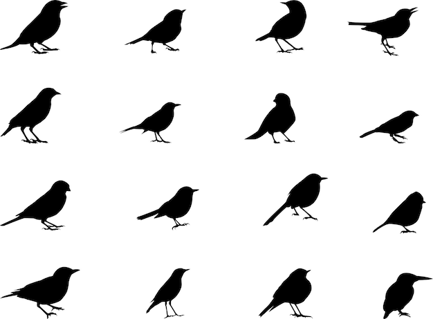 Silhouette set of bird