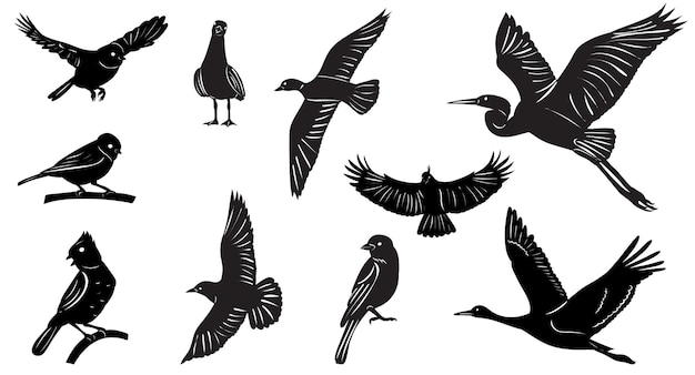 silhouette set of birds on white background vector