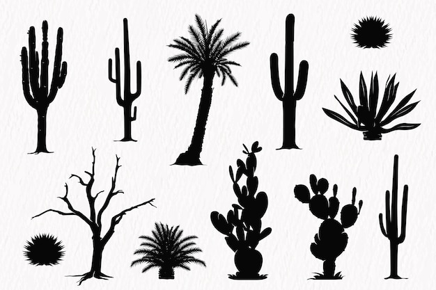 Vector silhouette set of desert plants desert trees cactus coconut tree palm century plant