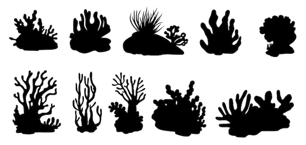 Vector silhouette set of different types of corals