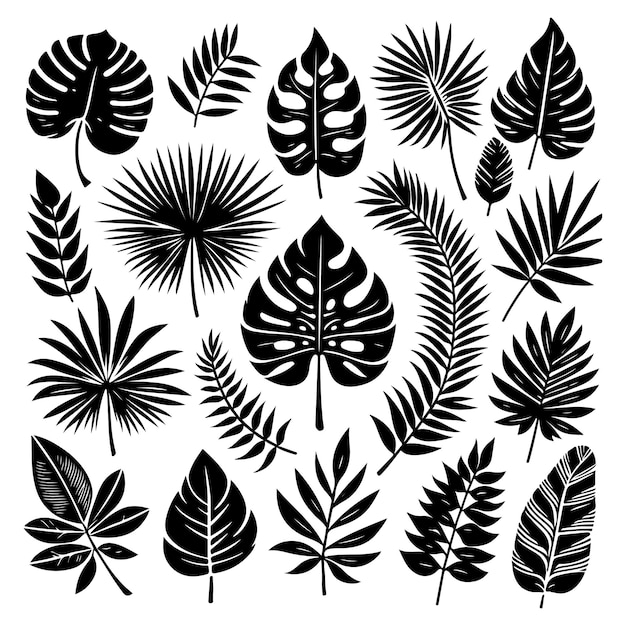 Vector silhouette set of tropical leaves