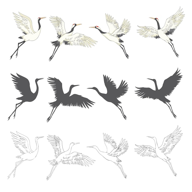 Silhouette or shadow black ink icons of crane birds or herons flying and standing set group of storks outline template or creative background vector illustration isolated on white