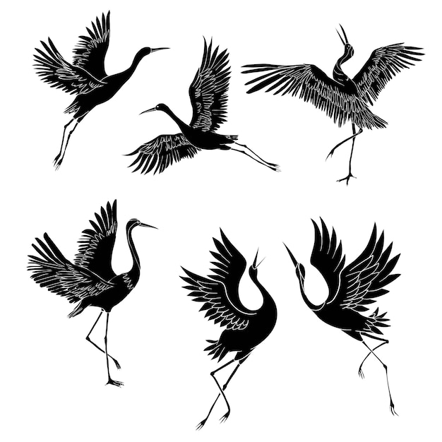 Silhouette or shadow black ink icons of crane birds or herons flying and standing set.