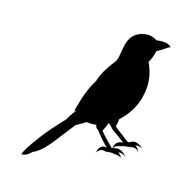 Vector silhouette of a shrike on white