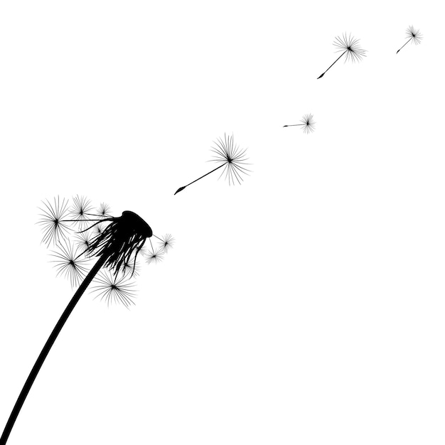 Silhouette of a simple single dandelion