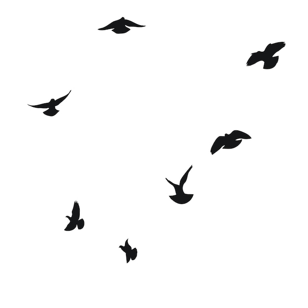 Vector silhouette sketch of a flock of flying birds flight in different positions hover soaring landing