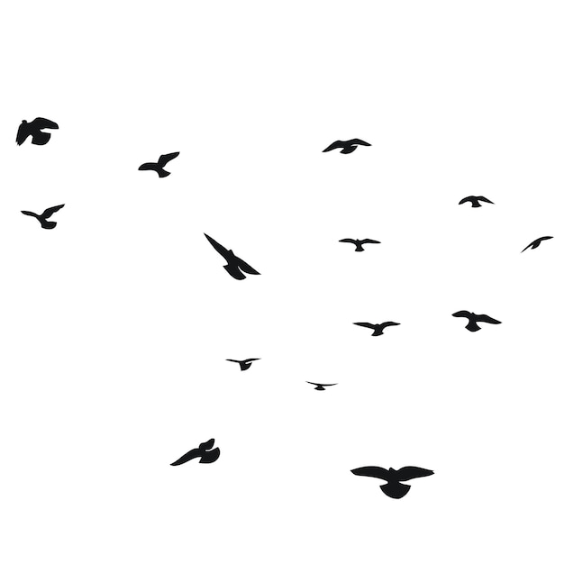 Silhouette sketch of a flock of flying birds flight in different positions soaring landing flying