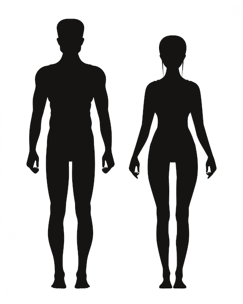 Vettore silhouette di sportivo maschio e femmina in piedi vista frontale. modelli di anatomia vettoriale