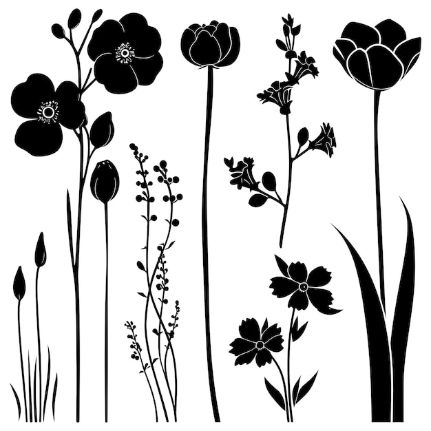 シルエット 春の花のコレクション 黒色のみ