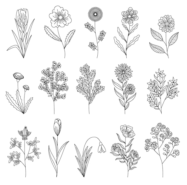 Vector silhouette of spring flowers icons botanical floral design set garden floral plants on white background good decoration for wedding invitations or scrapbook