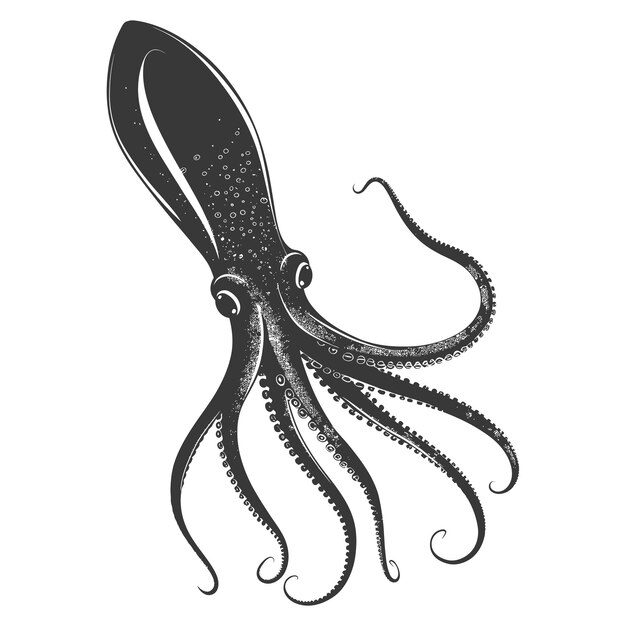 Vector silhouette squid animal black color only full body