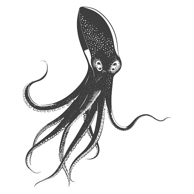 Silhouette squid animal black color only full body