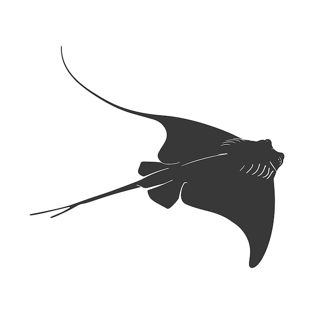 Vector silhouette stingray animal black color only full body