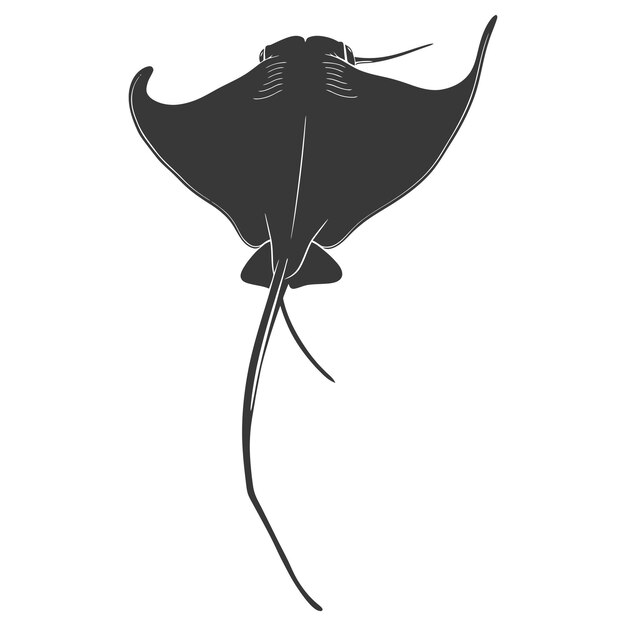 Vector silhouette stingray animal black color only full body