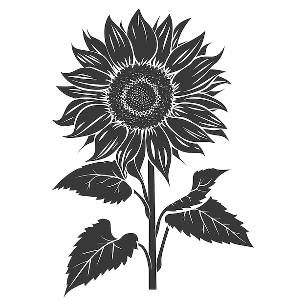 Vector silhouette sunflower flower black color only vector