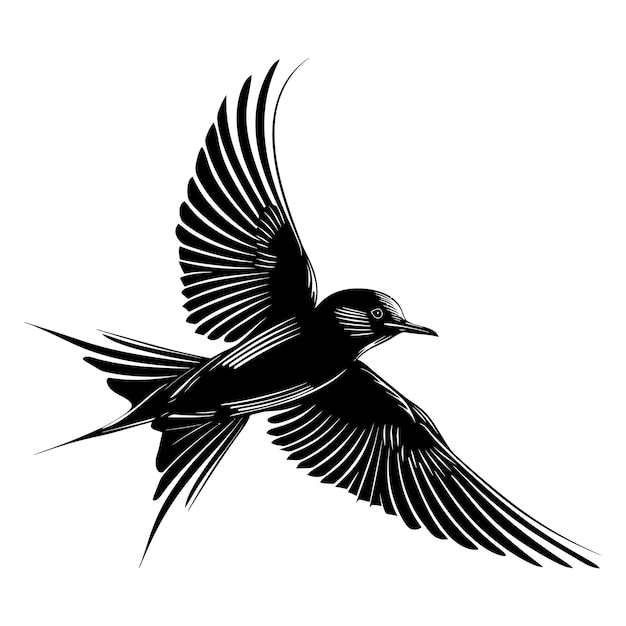 Silhouette swallow bird flaying black color only full body