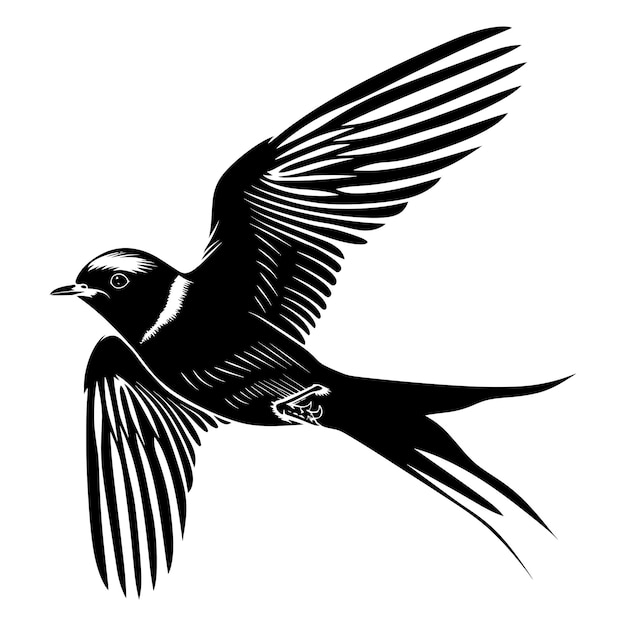 Silhouette swallow bird flaying black color only full body