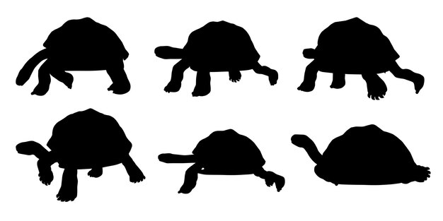 Vector silhouette tortoise