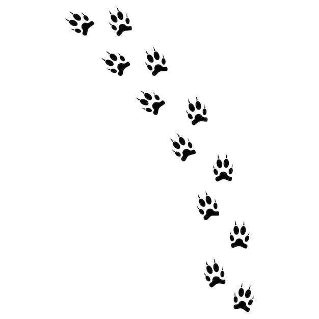 The silhouette of the traces of the wolf cat and the vbird Vector illustration