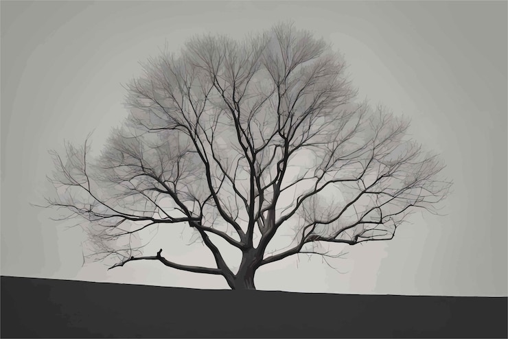 Vector silhouette of a tree in the foresttree branches nature florasilhouette of a tree in the forest