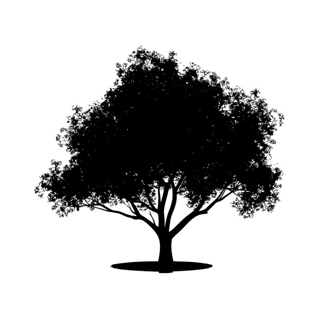 Vector silhouette tree nature black color only