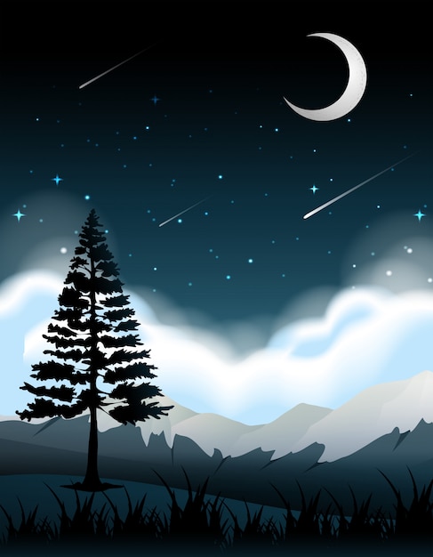 a silhouette tree at night
