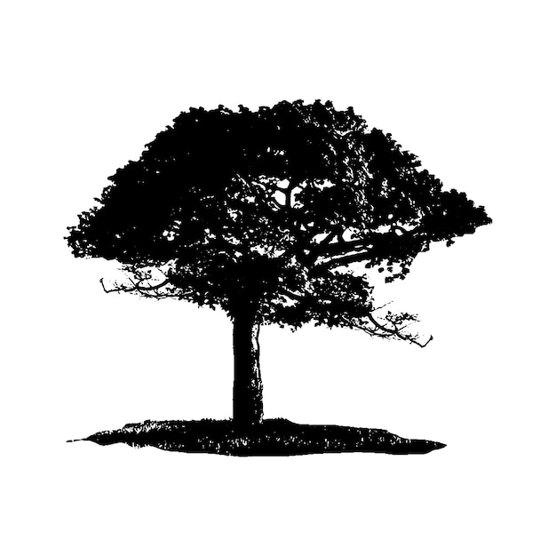 silhouette tree vector, black white tree background