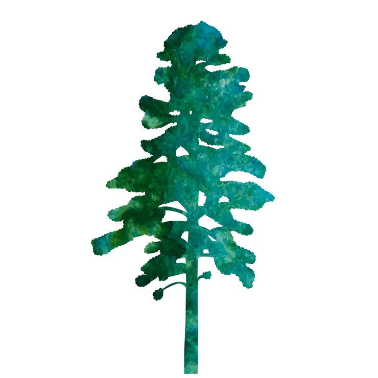 Vector silhouette tree watercolor design vector isolated