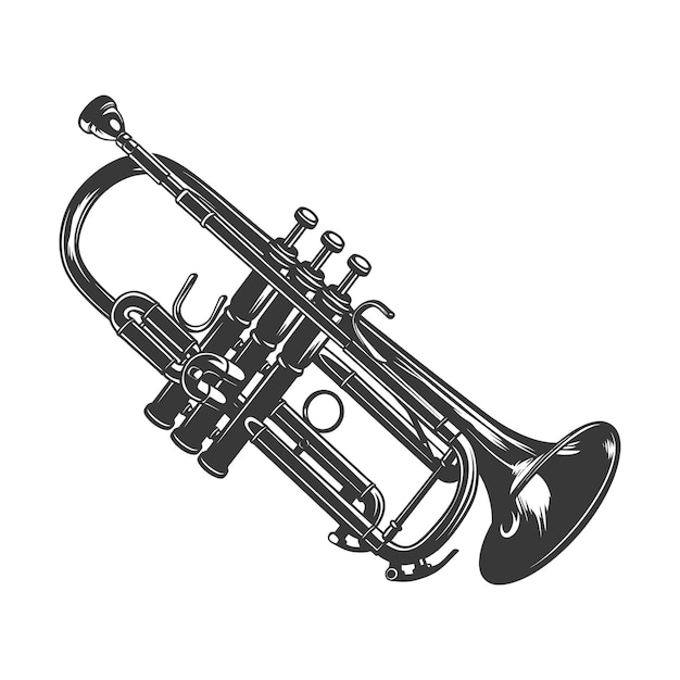 Vector silhouette trumpet black color only