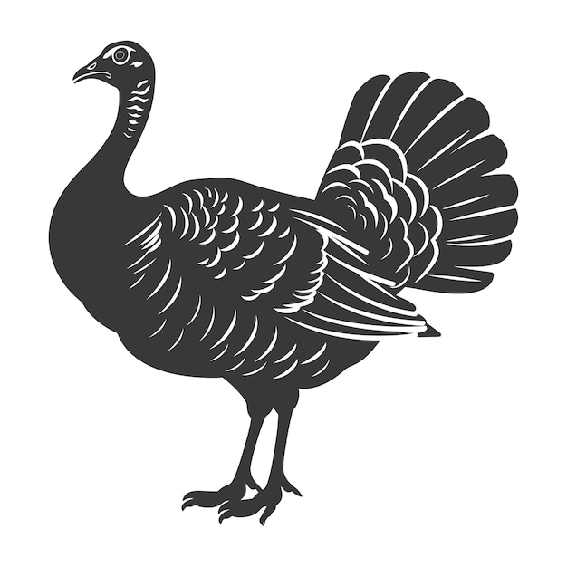 Vector silhouette turkey animal black color only full body