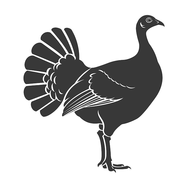 Vector silhouette turkey animal black color only full body