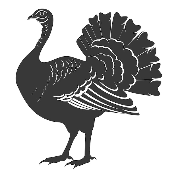 Vector silhouette turkey animal black color only full body