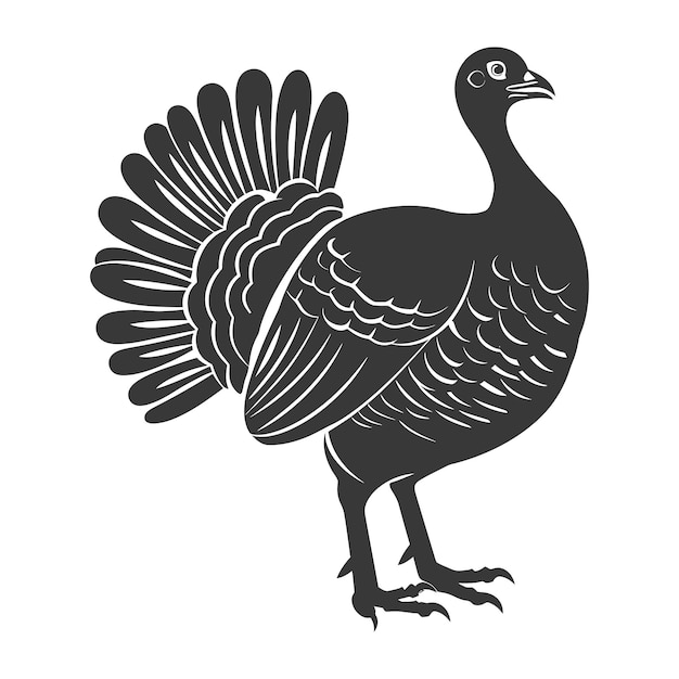 Vector silhouette turkey animal black color only full body