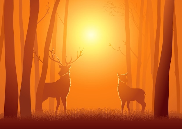 Silhouette of two deer in the woods