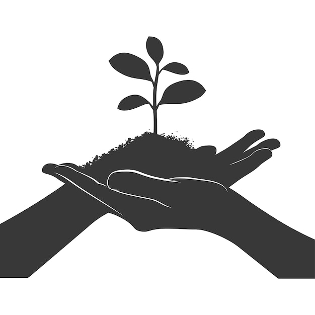 Vector silhouette two hand holding soil with growing sprout black color only