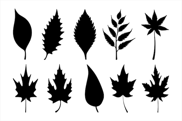 Vector silhouette vector design of a leaf