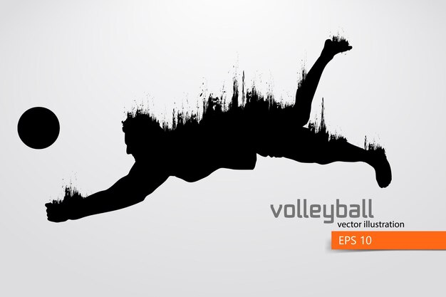 Vector silhouette of volleyball player, man