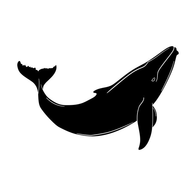 Silhouette whale black color only full body