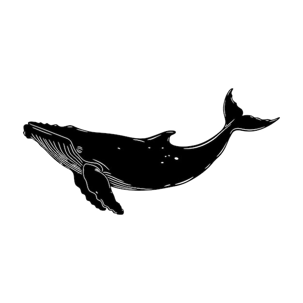 シルエットクジラ 黒色 全身のみ