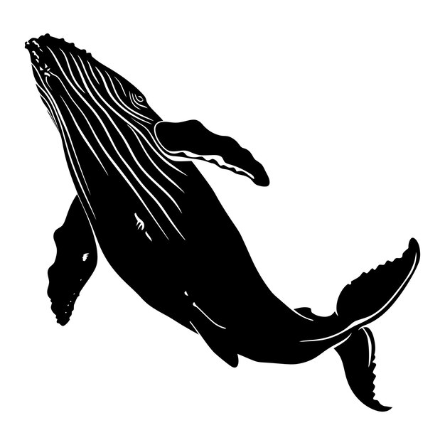 Silhouette whale black color only full body