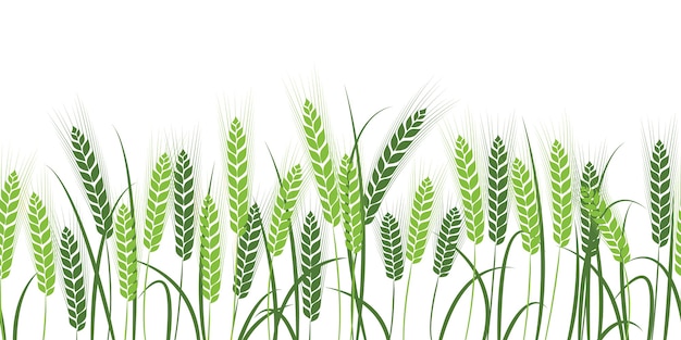Premium Vector | Silhouette of wheat. Wheat in the field on a white