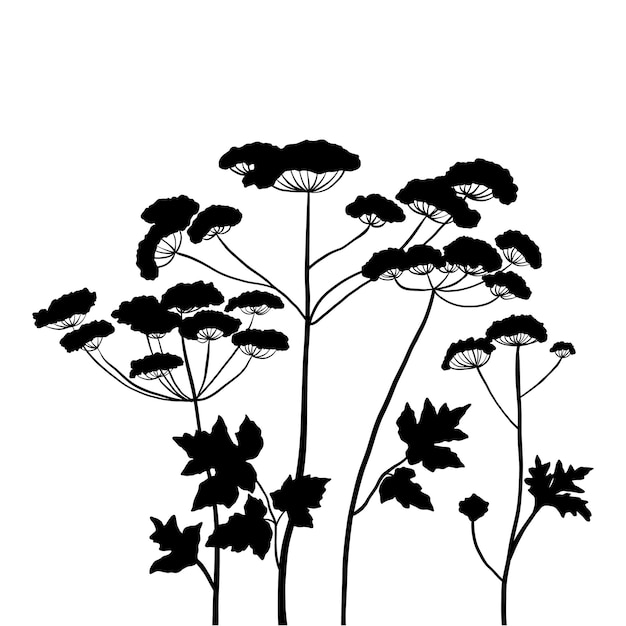 Vector silhouette wildflowers grass hogweed vector black hand drawn illustration with summer flowers shadow of herb and plant nature field isolated on white