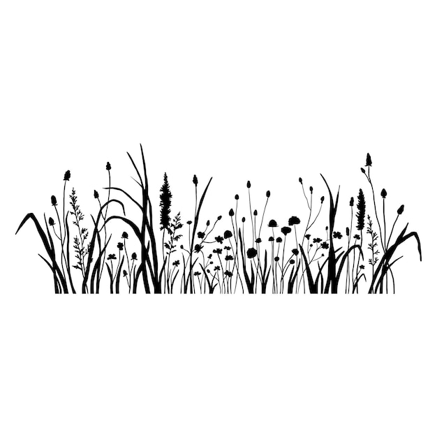 Silhouette wildflowers grass vector black hand drawn illustration with summer flowers shadow of herb and plant nature field isolated on white