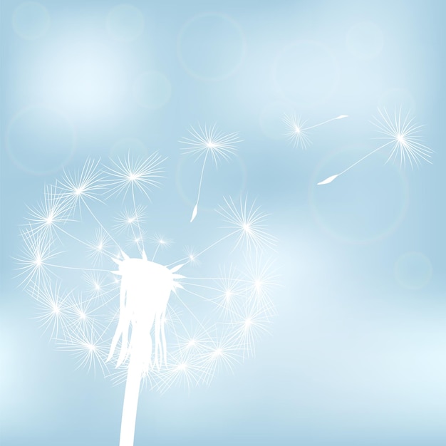 Silhouette with flying dandelion buds