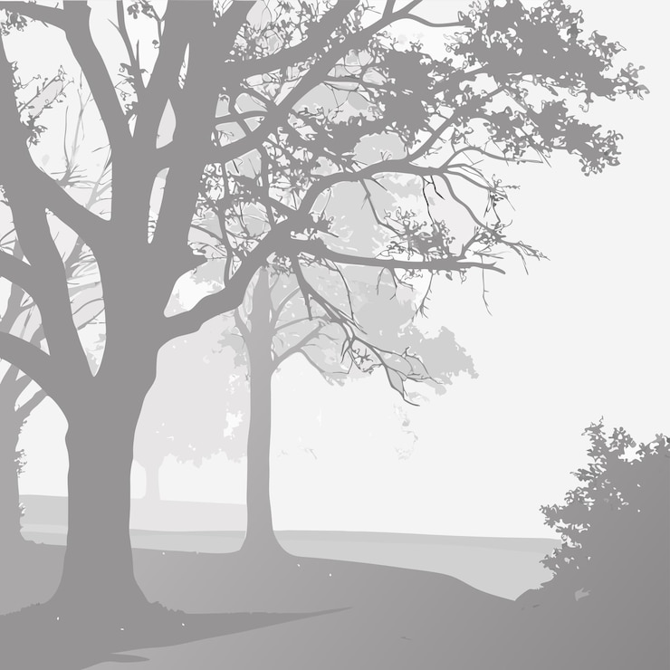 Vector silhouetted trees with bare branches in a foggy landscape