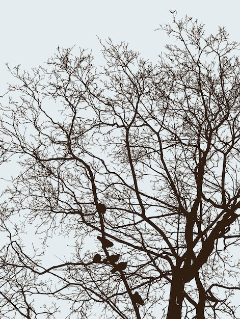 Silhouetten van boomtakken en vogels in het koude seizoen