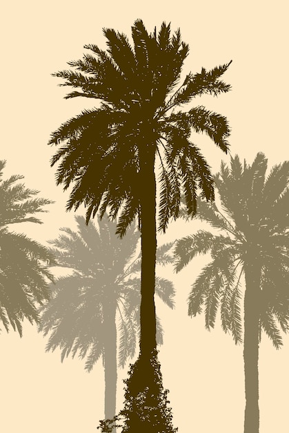 Vector silhouetten van de palmbomen