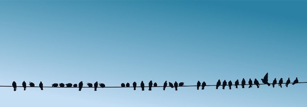 Silhouetten van duiven op een draad