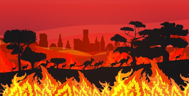 silhouetten van kangoeroes rennen van bosbranden in Australië dieren sterven in wildvuur bushfire brandende bomen natuurramp concept intense oranje vlammen horizontaal