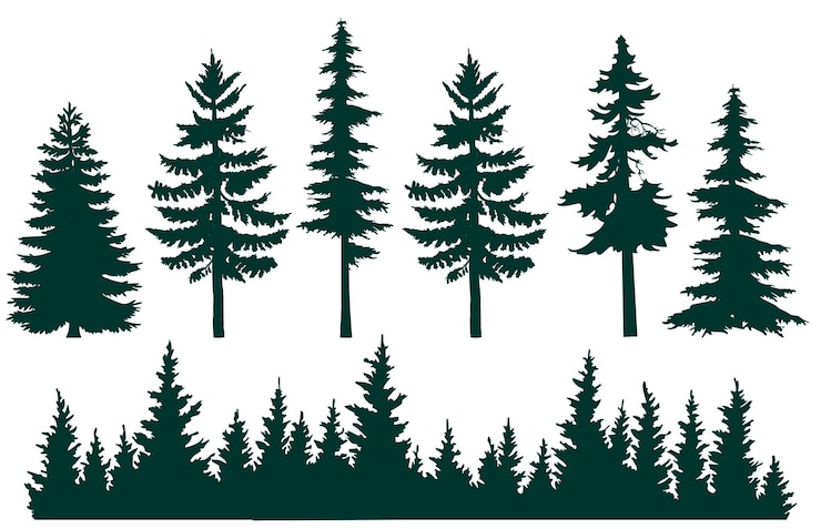 Vector silhouetten van kerstbomen een set silhouetten van dennenbomen van verschillende hoogtes